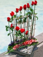 Imagen de ESCALA DE MILAN