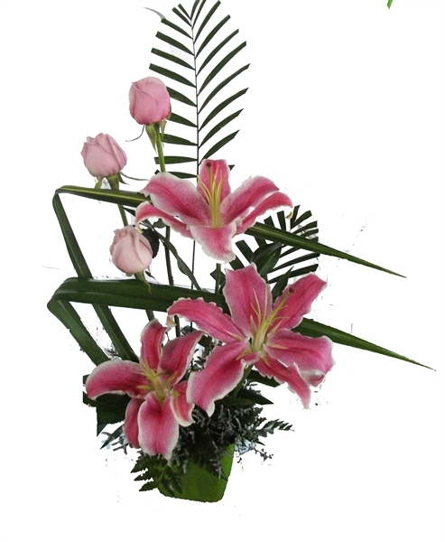 Imagen de 09. ESTRELLITA