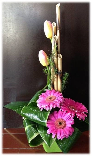 Imagen de 03. TIERNO ENCANTO