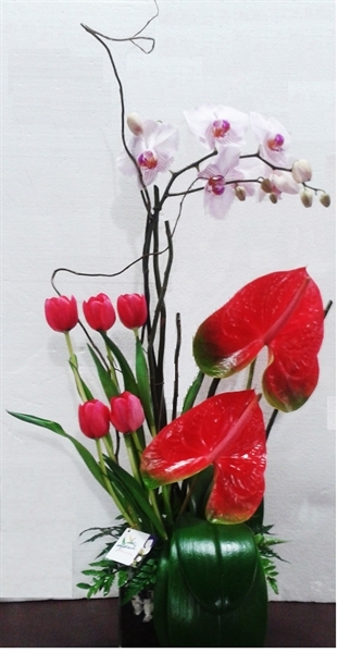 Imagen de 12. VIVALDI  ANTURIOS