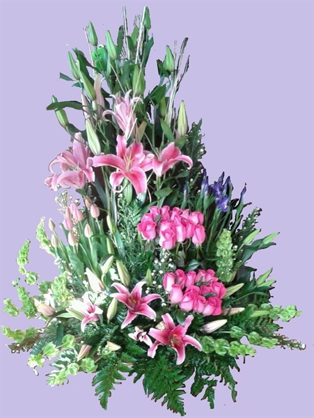 Imagen de MIXTO VERTICAL