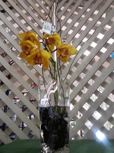 Imagen de 0002. ORQUIDEA CIMBIDIUM EN CRISTAL