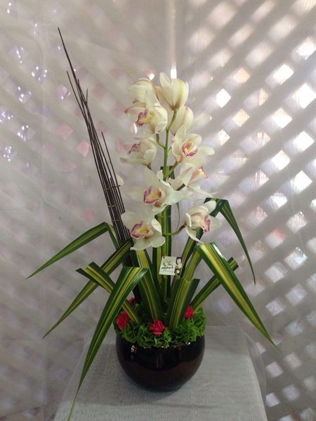 Imagen de 02.1 Cymbidium en Bowl de Cristal