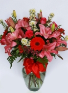 Imagen de MI FELICIDAD