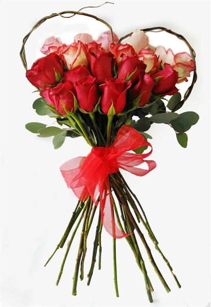 Imagen de 5. ME GUSTAS