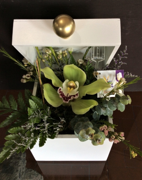 Imagen de CAJA CYMBIDIUM