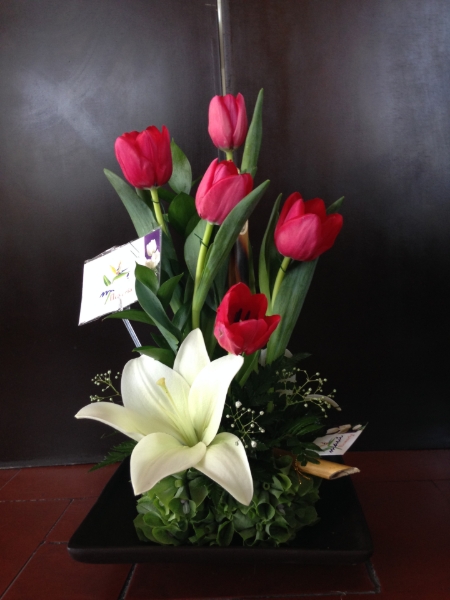 Imagen de Gracias México