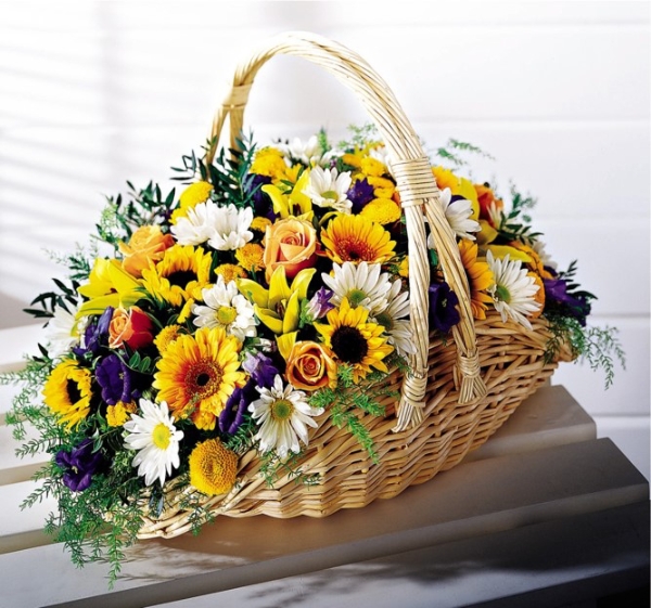 Imagen de LUZ RADIANTE