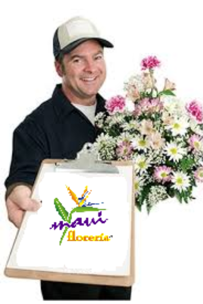 Imagen de HORARIOS DE ENTREGA