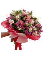 Imagen de CONQUÍSTAME