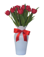 Imagen de Nuevo Cielo Rojo