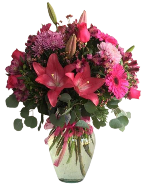 Imagen de Frambuesa Mamá