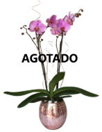 Imagen de Mariposa craquelado