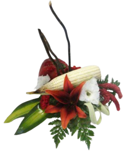 Imagen de Ay Jalisco!