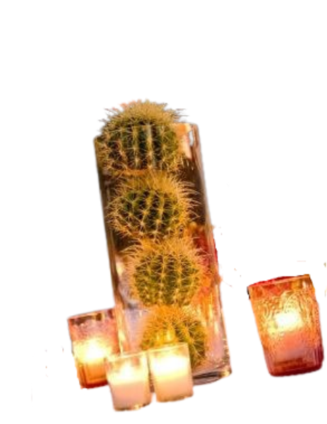 Imagen de México en la piel