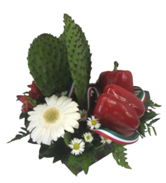 Imagen de Viva México