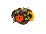 Imagen de México lindo y querido