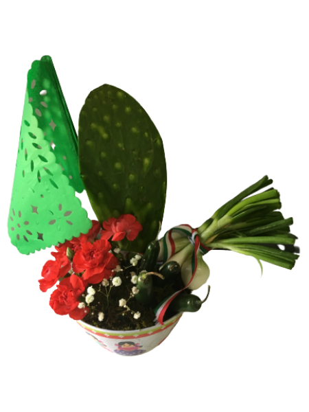 Imagen de Mi Querétaro lindo