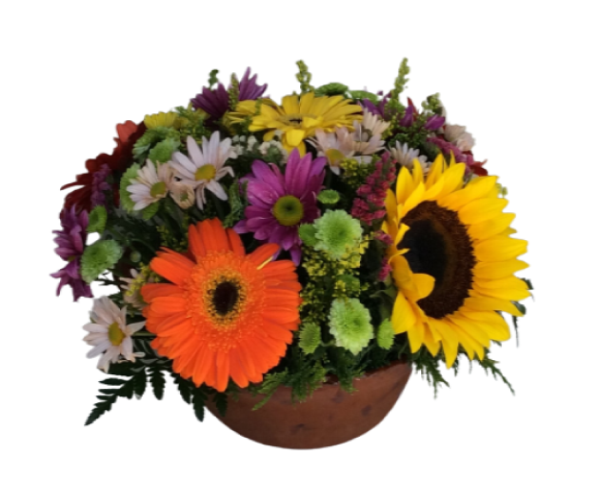 Imagen de México lindo y querido