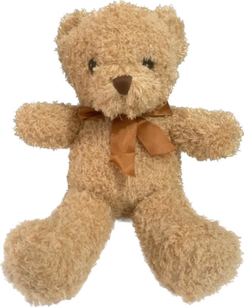 Imagen de Osito Teddy