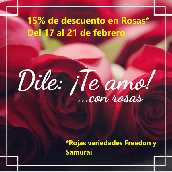 Imagen de Descuento de rosas febrero