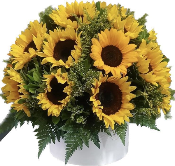 Imagen de CAJA SUNSHINE