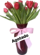 Imagen de Nuevo Cielo Rojo