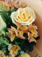 Imagen de SWEET YELLOW