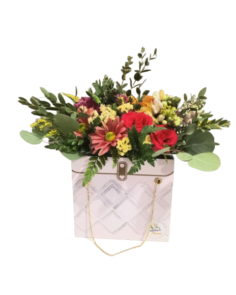 Imagen de BOLSA COQUETTE