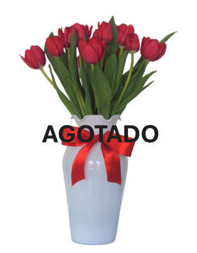 Imagen de Nuevo Cielo Rojo