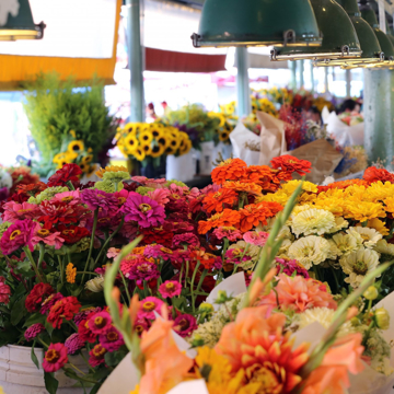 Imagen de categoría ELIGE EL ARREGLO CON TU FLOR PREFERIDA