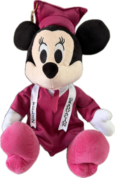 Imagen de MINNIE GRADUADA