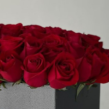 Imagen de categoría Felicitación