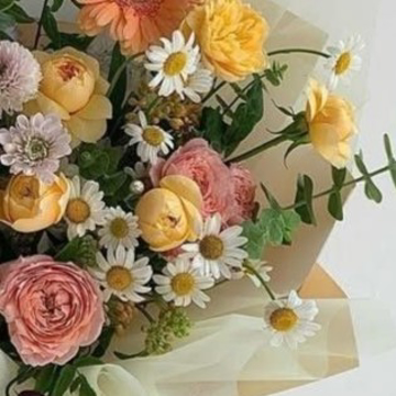 Imagen de categoría Recuperación