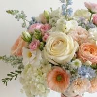 Imagen para la categoría FAVORITOS