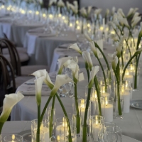 Imagen para la categoría EVENTOS