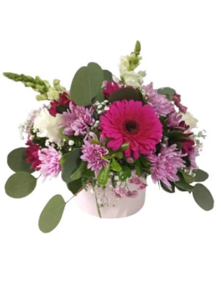 Imagen de BELL MEDIANO