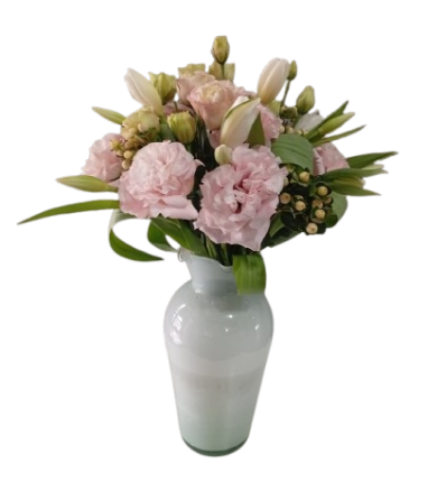 Imagen de EUSTOMA